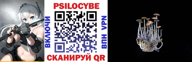 где купить наркоту  Мытищи  Галлюциногенные грибы Psilocybine cubensis 